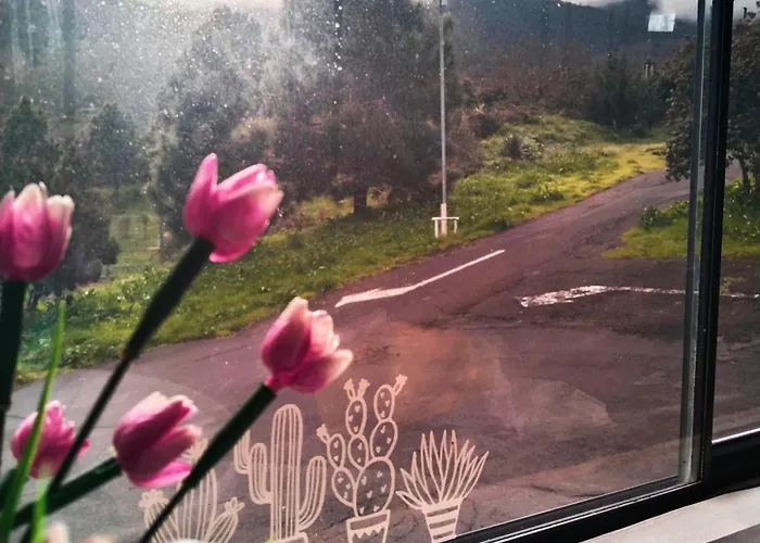 キャンプ場 Campervan Tenerife Roadtrip グラナディージャ・デ・アボナ