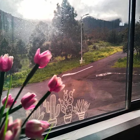 مكان تخييم Campervan Tenerife Roadtrip غراناديا دي أبونا